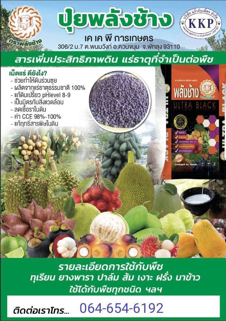 ปุ๋ยพลังช้าง