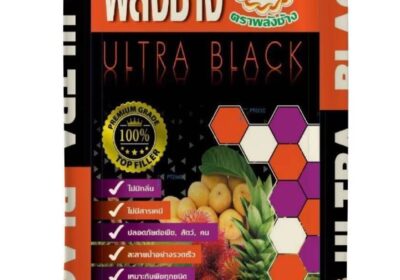 497535685_10230013349906533_5313736796954315301_n